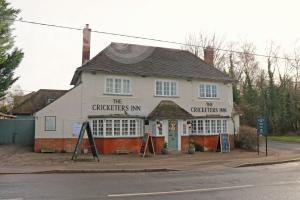 Picture of The Cricketers