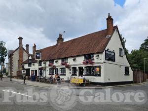 Picture of White Horse