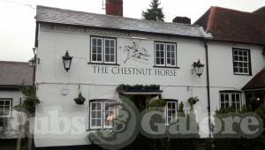 Picture of The Chestnut Horse