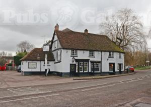 Picture of The Bull
