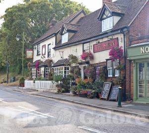 Picture of The Swan