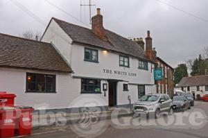 Picture of The White Lion