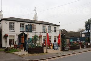 Picture of Rose & Thistle