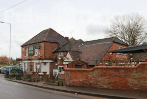 Picture of White Horse