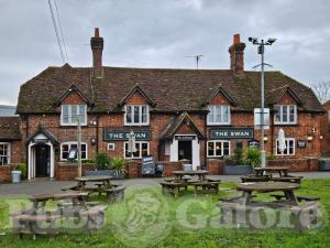 Picture of The Swan