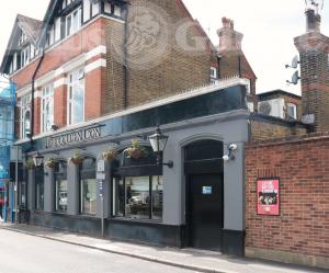 Picture of Golden Lion