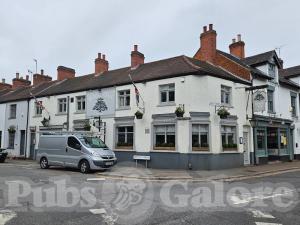 Picture of Royal Oak