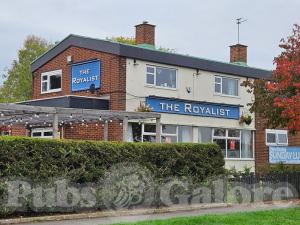 Picture of The Royalist