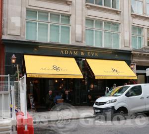 Picture of Adam & Eve