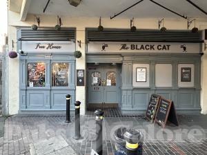 Picture of The Black Cat