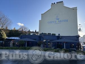 Picture of The Gipsy Moth