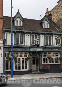 Picture of The Spotted Horse