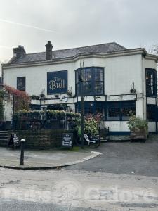Picture of The Bull
