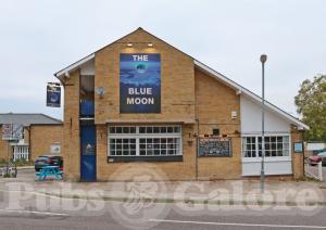 Picture of Blue Moon