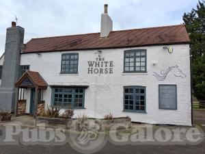 Picture of The White Horse