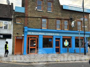 Picture of Beavertown Corner Pin
