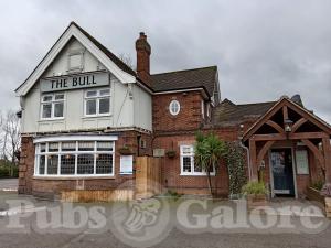 Picture of The Bull