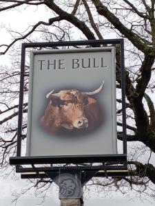 Picture of The Bull
