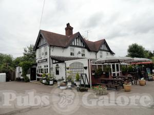 Picture of The White Horse