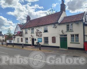 Picture of The White Horse
