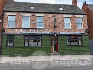 Picture of The Bay Horse
