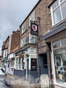 Picture of The Red Bear
