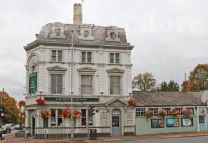 Picture of The White Elephant
