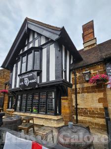 Picture of Golden Lion
