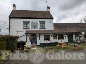 Picture of Royal Oak