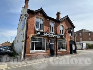 Picture of Molly Malone's