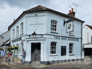 Picture of The Hop Blossom