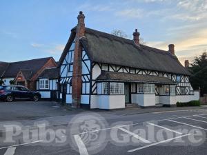Picture of The White Lion
