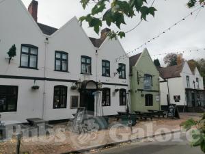 Picture of White Harte