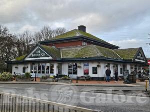 Picture of The Snooty Fox