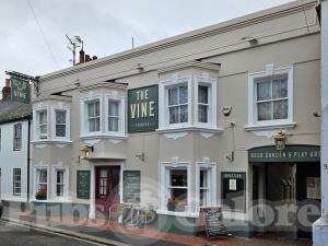 Picture of The Vine