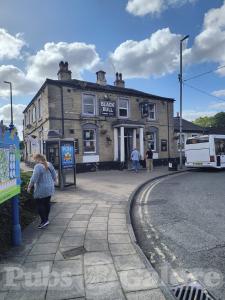 Picture of Black Bull