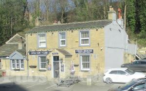 Picture of Golden Fleece