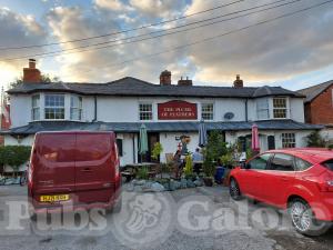 Picture of The Plume Of Feathers