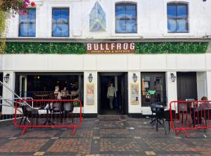 Picture of Bullfrog