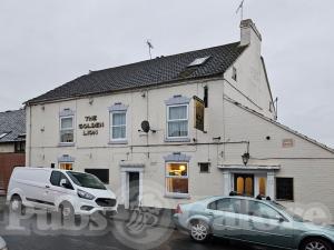 Picture of The Golden Lion
