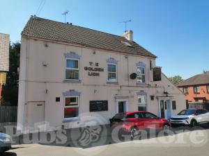 Picture of The Golden Lion