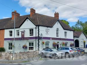Picture of Prince Of Wales