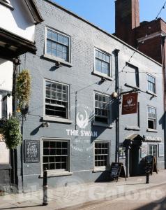 Picture of The Swan