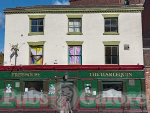 Picture of The Harlequin