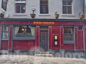 Picture of Red Deer