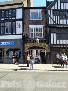 Picture of Golden Fleece