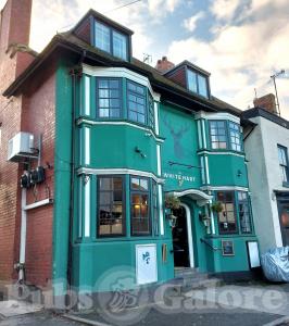 Picture of The White Hart