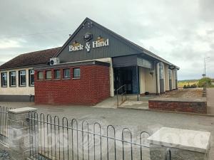 Picture of Buck & Hind