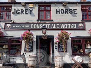 Picture of Grey Horse
