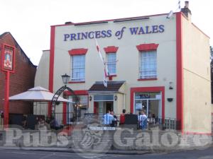 Picture of The Princess Of Wales